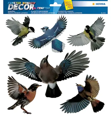Image de HERMA Oiseaux d'avertissement, image de fenêtre 30x30cm