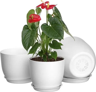 Obrázek produktu pro Sada plastových květináčů se 3 nádobami, 25/23/20 cm, bílá, pro vnitřní i venkovní použití.