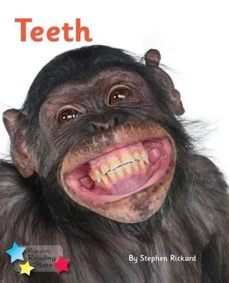 Obrázek produktu pro Teeth