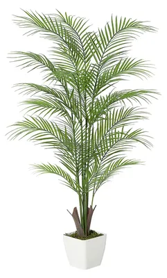 Immagine prodotto di Palma Areca artificiale - Pianta artificiale alta 120 cm - Con vaso - Materiale in PE - Aspetto realistico - Facile da pulire - Adatta per interni - Colore: bianco