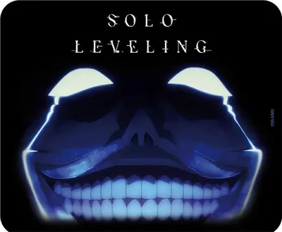 Zdjęcie produktu dla ABYstyle Solo Leveling, Wielobarwny, Obraz, Tkanina, Podkładka antypoślizgowa