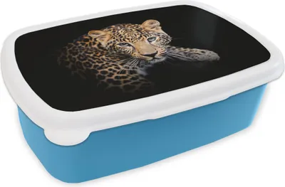 Produktbild von KitchenYeah® Lunchbox Brotzeit Brotdose 17x11 cm Panther - Schwarz - Tiere Kinder Brotzeitdose - Lunch - Kunststoff - Brotbüchse - Sandwichbox - Lunchbox für Kinder