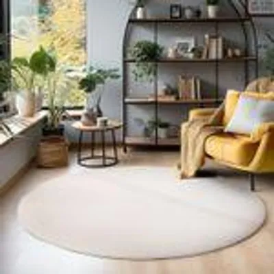 Produktbild von Teppich Wohnzimmer Schlafzimmer Esszimmer Läufer Flur Flauschiger Teppich Waschbar Rutschfest Soft Weicher Farbe: Creme Größe : 120 cm Rund