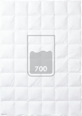 Produktbild von Kauffmann Daunendecke Kassettendecke Elegance 700 240 x 220 cm Steppung 7 x 6 Füllgewicht: = 1640 g