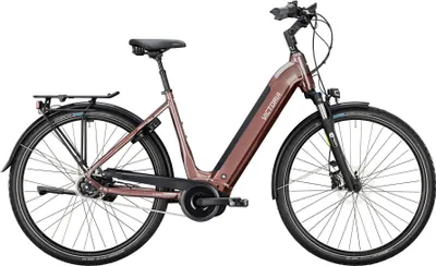 Produktbild von VICTORIA Elektro-Trekkingrad "TRESALO 13" (#1), Wave, 28", bornit copper, 5-G...