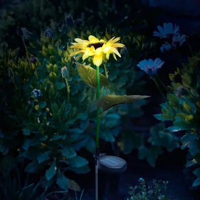 Produktbild von 1x Solar-Sonnenblumen-Gartenleuchte – 75 cm – 8 warmweiße LEDs – mit Erdspieß – solarbetrieben – schaltet sich automatisch bei Dämmerung ein – dekorative Außenbeleuchtung für Garten, Balkon und Blumenbeet [11762]