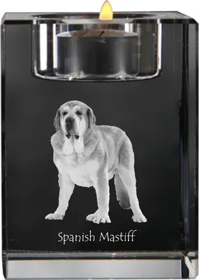 Produktbild von Spanischer Mastiff, Mastín aus León - Kerzenhalter mit Hundefoto, Teelichthalter aus Kristall, personalisiertes Geschenk der Marke Art-Dog