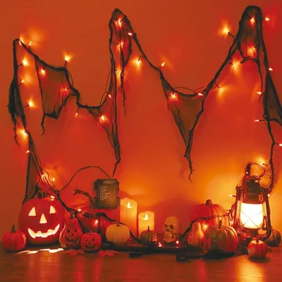 Halloween-Lichterkette mit schwarzem Netz, 3 m, 30 LEDs, IP65