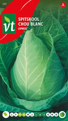 Obrázok produktu pre Ružičkový kel expres semená - cca 2 gr | VT_541