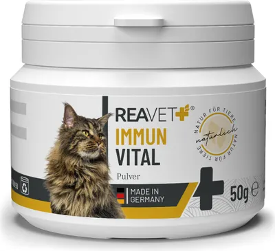 Produktbild von REAVET Immun Vital für Katzen 50g für Wohlbefinden & Vitalität I Natürliche Abwehrkraft, Stärkung des Immunsystem, Ohne künstliche Zusätze, Reich an Mineralien
