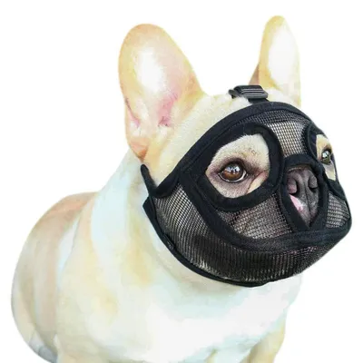 Image de Museau pour chien à museau court, réglable, en PVC, respirant, de couleur noire, taille M