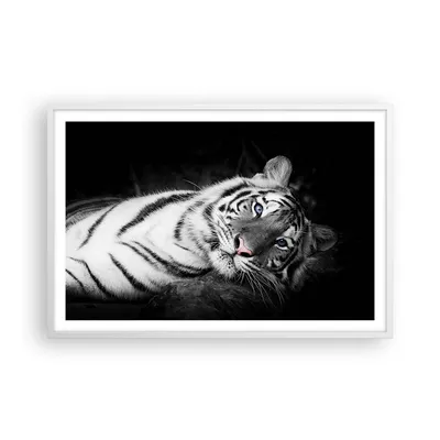 Produktbild von Gerahmtes Poster - Weißer Rahmen - Weiß Tiger Schwarz und Weiß - 91,5x61 cm - Wand Bild - Wanddeko - Wandbilder - Wandposter - Bilderrahmen - Bilder - Kunstdruck - Wandbild - P2WAA91x61-4247