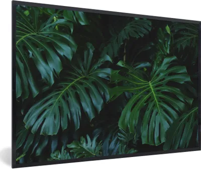 Produktbild von MuchoWow® Gerahmtes Poster Dschungel - Laub - Grün 90x60 cm - Poster mit Schwarzem Bilderrahmen Wandposter Rahmen Foto Bilder - Fotorahmen - Foto-Plakat