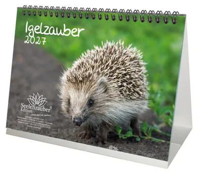 Produktbild von Igelzauber DIN A5 Tischkalender für 2027 Igel - Seelenzauber