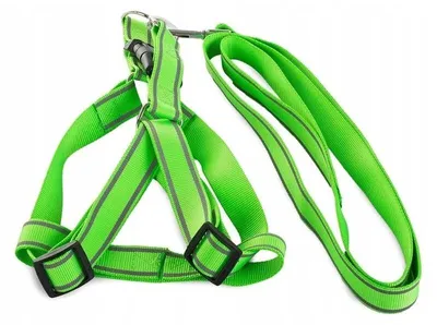 Produktbild von Verk 19021 Nylon-Hundegeschirr mit Leine 127 x 2,5 cm Farbe
