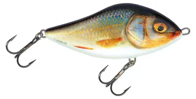 Produktbild von Salmo Slider Jerkbait Glider rotauge roach RR schwimmend 7cm 17g