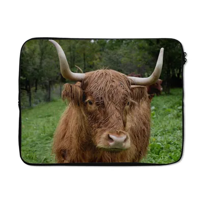 Produktbild von MuchoWow® Laptop Hülle 15 Zoll Schottische Highlander - Tiere - Gras Laptoptasche - Laptoptasche - Sleeve - Rundum-Schutz