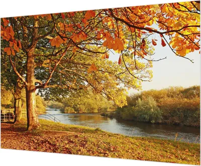 Produktbild von Wandtapete - Dekorative Tapete für Wohnzimmer - Tapetenfolie für Wanddekoration - 208x146 cm - Küstenherbst
