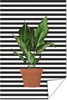 Produktbild von MuchoWow® Poster Pflanzen - Blumentopf - Weiß - Schwarz 60x90 cm - Wanddekoration