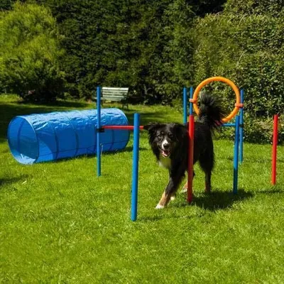 Produktbild von Dog Agility Set K2 PRO