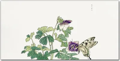 Produktbild von Coloray Küchenrückwand 120x60 Spritzschutz aus Glas - Asian Schmetterling Blätter