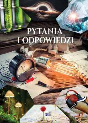 Immagine prodotto di Pytania i odpowiedzi