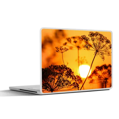 Produktbild von MuchoWow® Laptop Aufkleber Sticker Cover Pflanzen - Blumen - Sonnenuntergang - Orange 30x22 cm - Laptop-Sticker