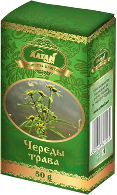 Produktbild von Dreiteiliger Zweizahn Bidens Tripartita 50g Altai Kraut Bad Zweizahnkraut череда