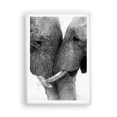 Produktbild von Gerahmtes Poster - Weißer Rahmen - Elefanten Safari Bond - 70x100 cm - Wand Bild - Wanddeko - Wandbilder - Kunstposter - Wandposter - Bilderrahmen - Bilder - Kunstdruck - P2WPA70x100-4973