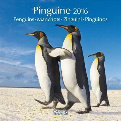 Produktbild von Pinguine 2016/ Broschürenkalender