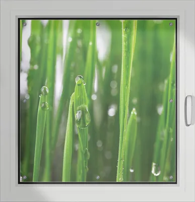 Produktbild von Wallario Lichtschutzbild, Dekorativer Sichtschutz Sonnenschutz 96 x 93 cm mit Motiv: Wassertropfen an Grashalmen - Verdunklung ohne Bohren
