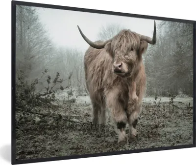 Produktbild von MuchoWow® Gerahmtes Poster Schottischer Highlander - Wald - Nebel - Kuh - Tiere - Natur 60x40 cm - Poster mit Schwarzem Bilderrahmen Wandposter Rahmen Foto Bilder - Printing - Wanddeko Schlafzimmer