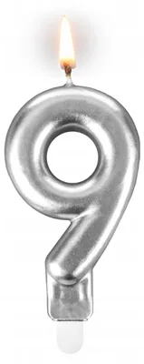 Image de Tamipol Bougie d'anniversaire Chiffre 9 Argentée