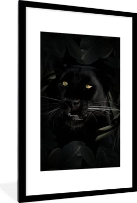 Produktbild von MuchoWow® MuchoWow® Gerahmtes Poster Panther - Dschungel - Pflanzen 60x90 cm - Poster mit zchwarzem Bilderrahmen - Dekoration - Wandposter Wohnzimmer - Hochwertig