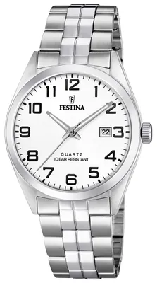 Obrázek produktu pro Pánské hodinky Festina F20437-1 stříbrné