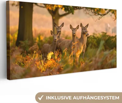 Obrázok produktu pre MuchoWow® - Plátno - jeseň - slnko - jeleň, nástenná maľba, nástenné dekorácie obrazy obývacia izba, 40x20cm
