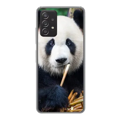 Produktbild von MuchoWow® Handyhülle Schutzhülle Hülle für Samsung Galaxy A33 5G Panda - Bambus - Natur Silikon Softcase Handy Hülle - Kartenhalter