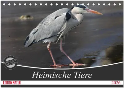 Produktbild von Heimische Tiere (Tischkalender 2026 DIN A5 quer), CALVENDO Monatskalender