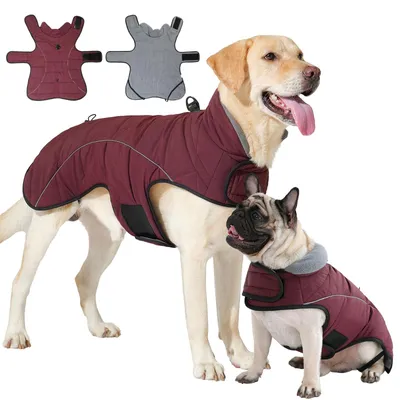 Image de Veste imperméable pour chien, avec anneau en D pour la laisse, chaude et réfléchissante