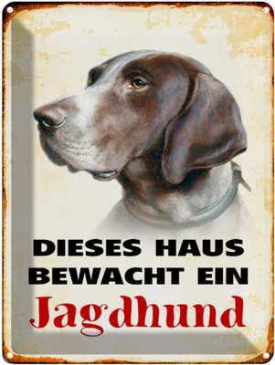 Produktbild von vianmo Blechschild 40x30 cm Hund dieses Haus bewacht ein Jagdhund