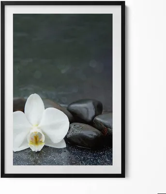 Produktbild von Weiße Blume Zen-Steine– Wandbild mit Rahmen – Gerahmtes Bild  – Wanddekoration – 70x100 cm –  Schwarz Rahmen