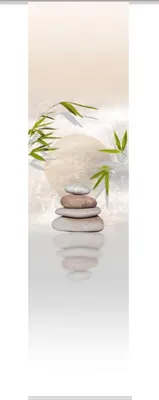 Produktbild von Schiebegardine Digitaldruck Benessa natur 60x245 cm