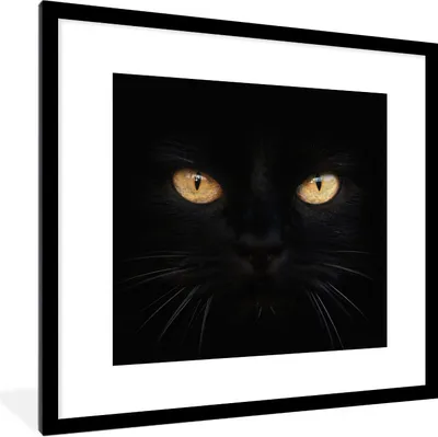 Produktbild von MuchoWow® Gerahmtes Poster Nahaufnahme einer schwarzen Katze 40x40 cm - Poster mit Schwarzem Bilderrahmen Wandposter Rahmen Foto Bilder - Poster - Plakat im Rahmen