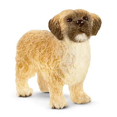 Produktbild von Schleich Farm World Shih Tzu Maltezer 13931