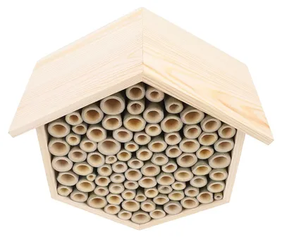 Bienenhaus aus Holz – schützt und lockt Bienen an