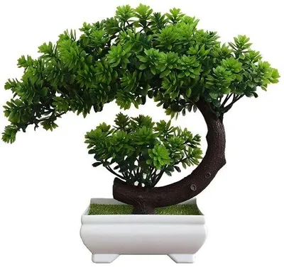 Immagine prodotto di Alberi bonsai artificiali - Realistici - 1 pezzo - Altezza 22 cm - Plastica