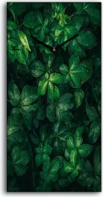 Produktbild von Wanduhr Uhr Wandbild Leinwand Geräuschlos Kunstdruck 30x60 Blatt Blüten Blätter - schwarze Hände