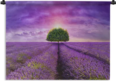 Produktbild von MuchoWow® Wandteppich Wandbehang Lavendel - Baum - Lila - Wolken 150x112.50 cm Tapisserie Dekoration Wandtuch - Wanddecke - Wandteppiche