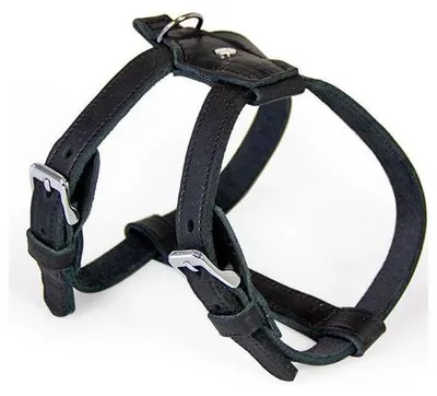 Produktbild von Das Lederband Geschirr Weinheim Black, Halsumfang: 48-52 cm