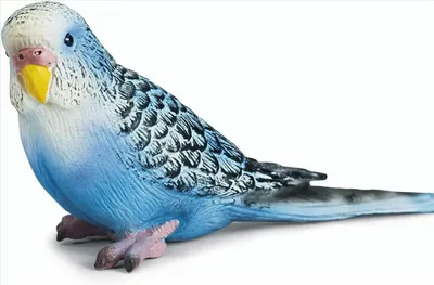 Produktbild von SCHLEICH 14409 Wellensittich, blau